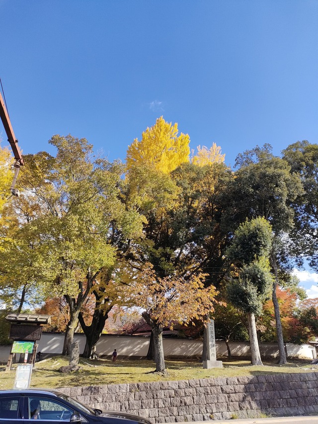 IMG20251122124650