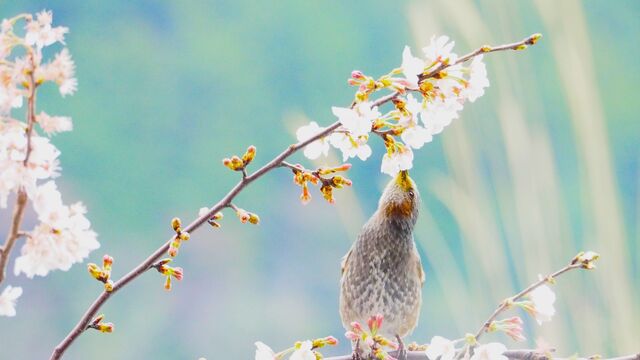 337842228_173904545476537_2306590615896136093_n