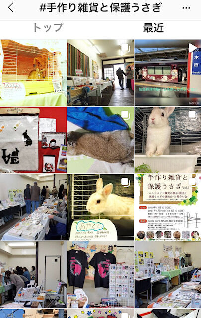 手作り雑貨と保護うさぎ だるまうさぎレスキュー
