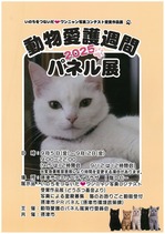ミニ2025tirasi