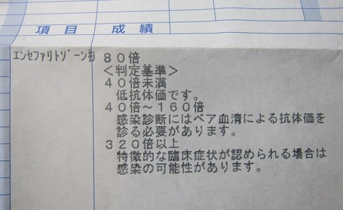 フォーネル結果10月