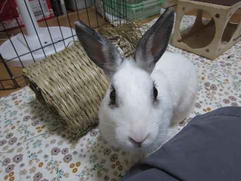 kagu0822