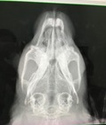 250731 (6)
