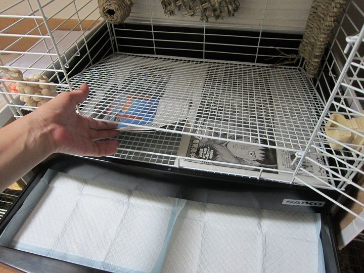 すぐれもの＠新聞紙 : うさぎのきた道