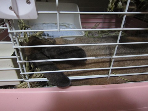 miti0404