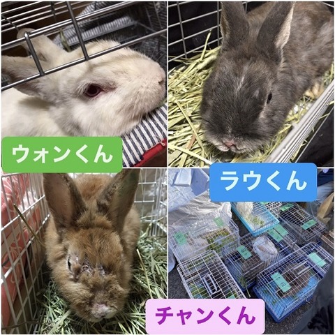 9DC43A51-176B-4005-95A2-0211E95056FD