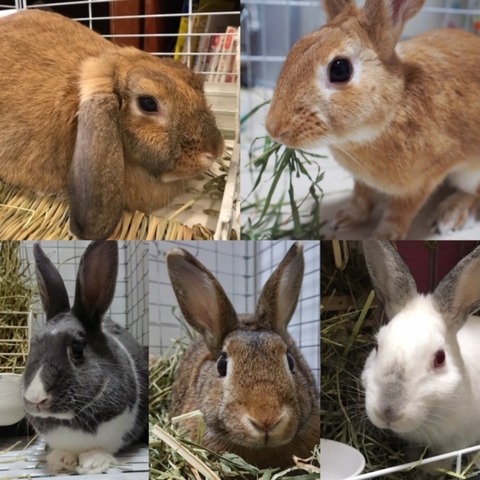 12A87365-E1B7-4C92-B1EA-7071E396C4B8