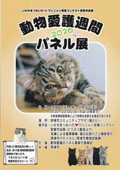 ミニ2026tirasi