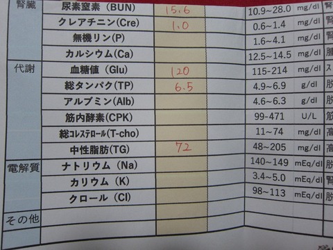 syano0909