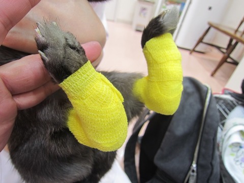 ソアホック処置後