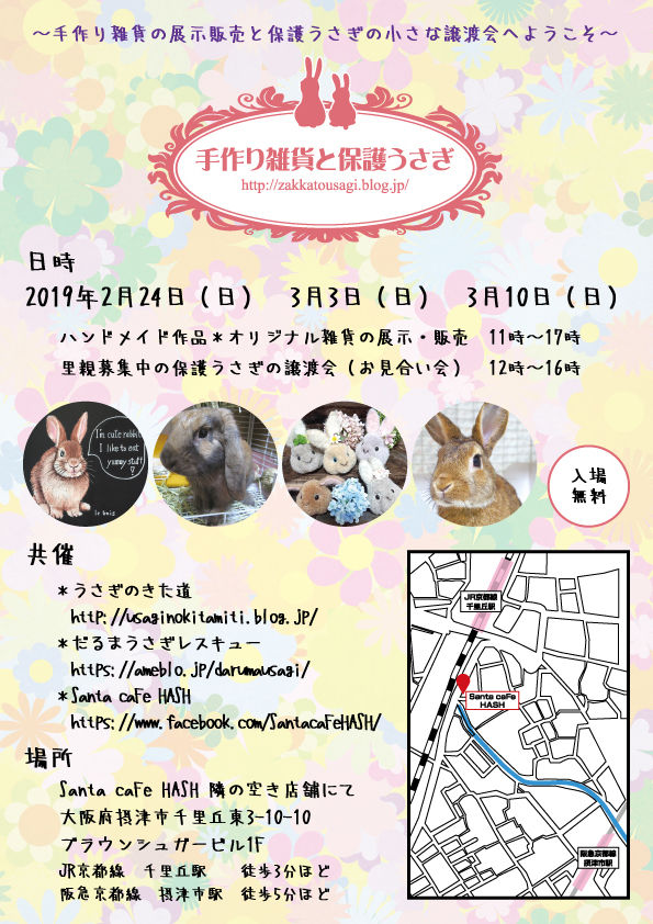 イベント うさぎのきた道 イベント うさぎのきた道