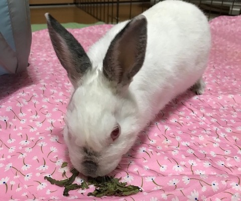 IMG_958911月20日0時31分