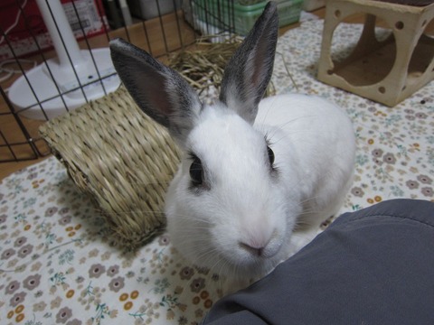 kagu0821