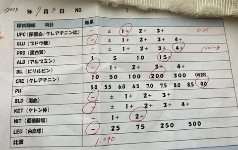 250703(3)