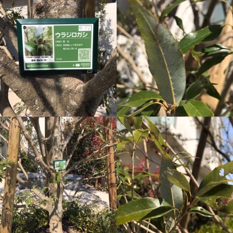 5B386197-A0ED-4115-B7F8-C8D7B1C574E9