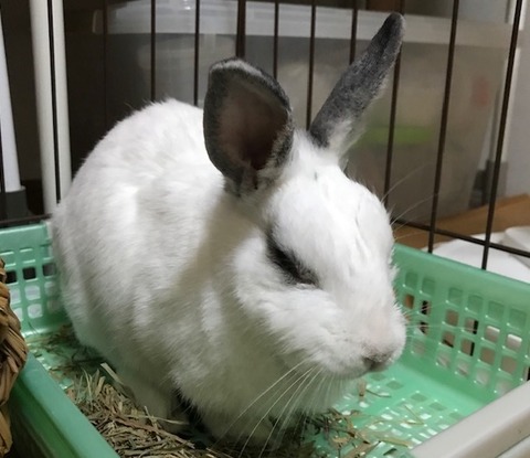 kagu0816