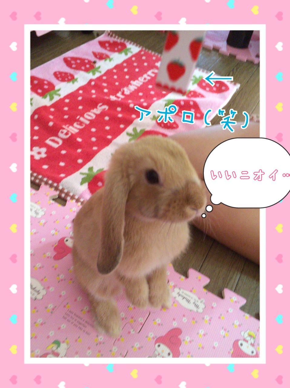 Seriaのマイメロちゃんパズルマット うさぎのみう