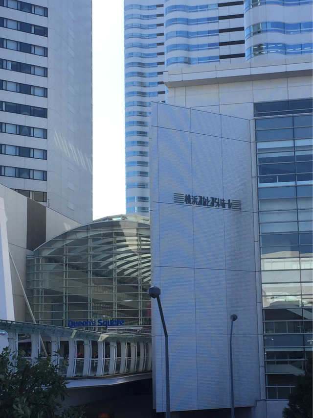 15年01月 うさぎの桜 15年01月 うさぎの桜