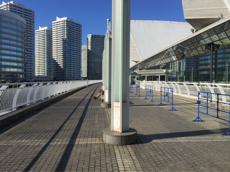 15年01月 うさぎの桜 15年01月 うさぎの桜