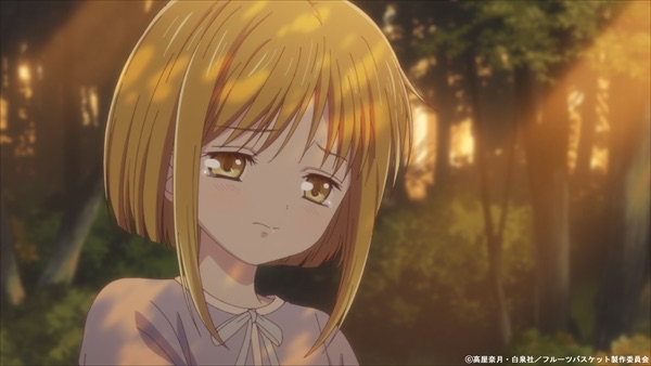 フルーツバスケット 2nd Season 6話 馬鹿かい 君は 感想 うさぎの桜 フルーツバスケット 2nd Season 6話 馬鹿かい 君は 感想 うさぎの桜