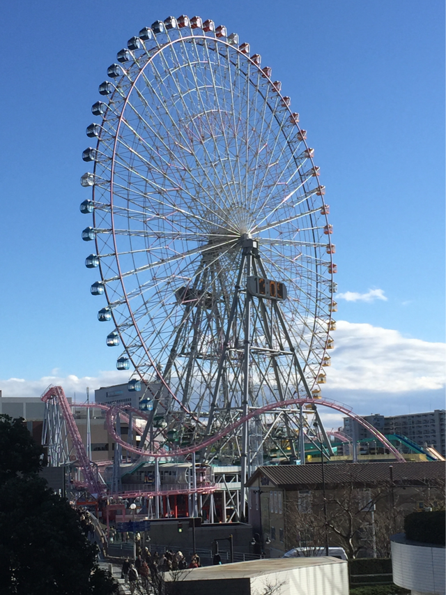 15年01月 うさぎの桜 15年01月 うさぎの桜