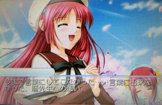 D C P S 白河ことり うさぎの桜