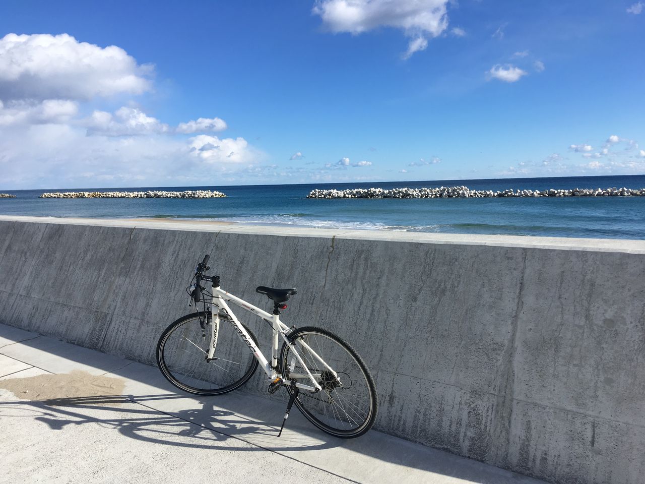 クロスバイクのブルホーン化 Tt化 うさぎと見る人間行動学