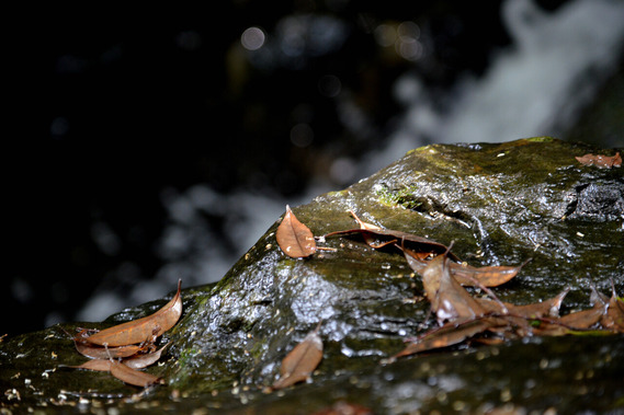 DSC_6416_01