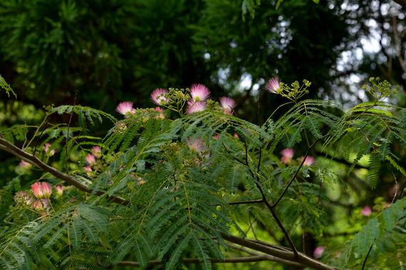 DSC_6405_01