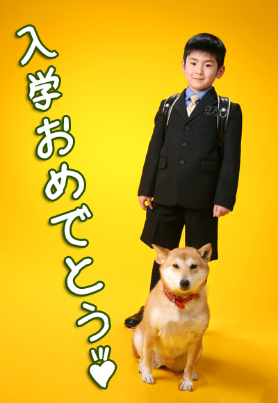 ¤«¤º¤¤¯¤ó_15
