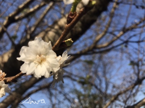 68CF4D7C-E894-44CC-88BC-144474B6EF6B