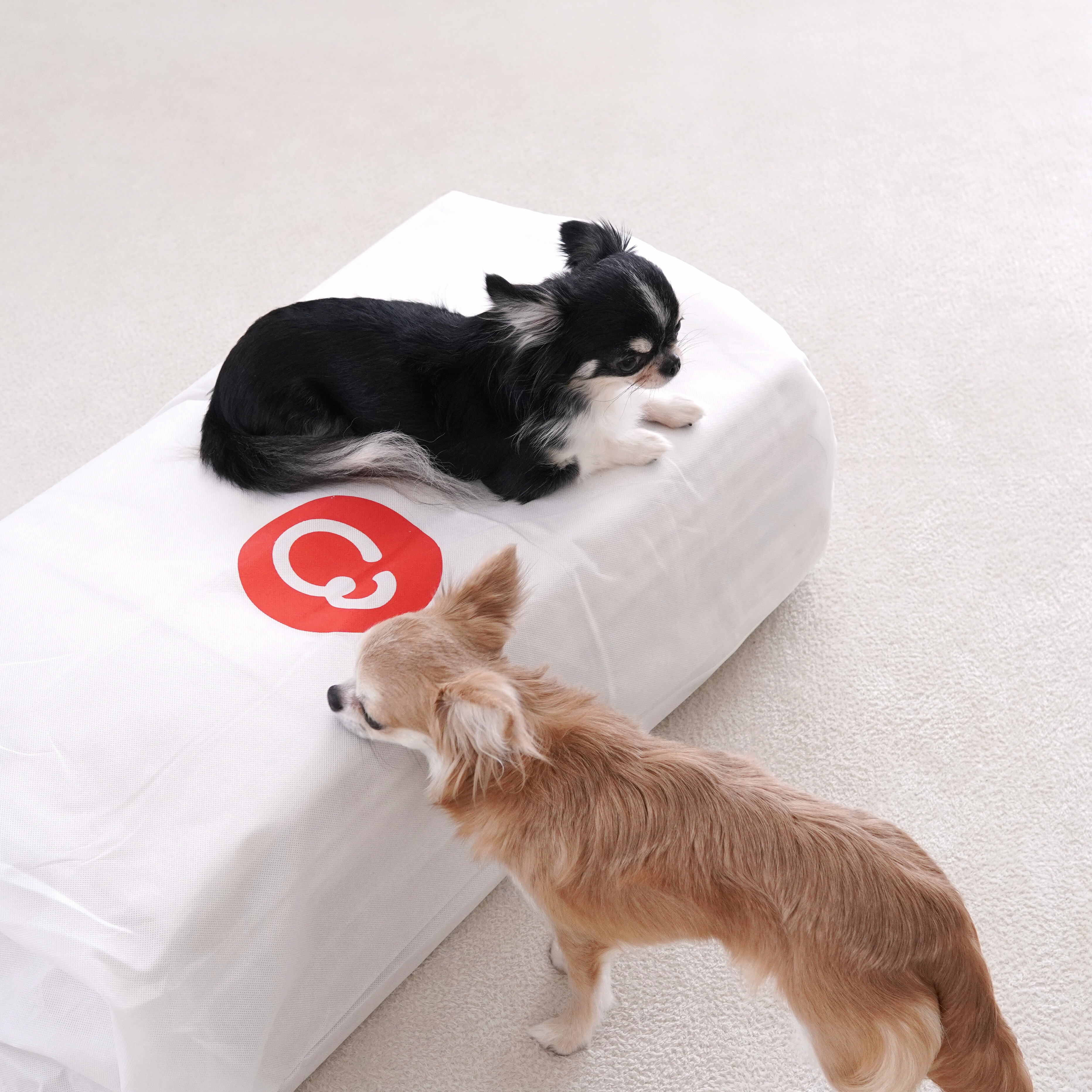 IKEA】ソファ『ソーデルハムン』でリビング模様替え！ソファカバーは