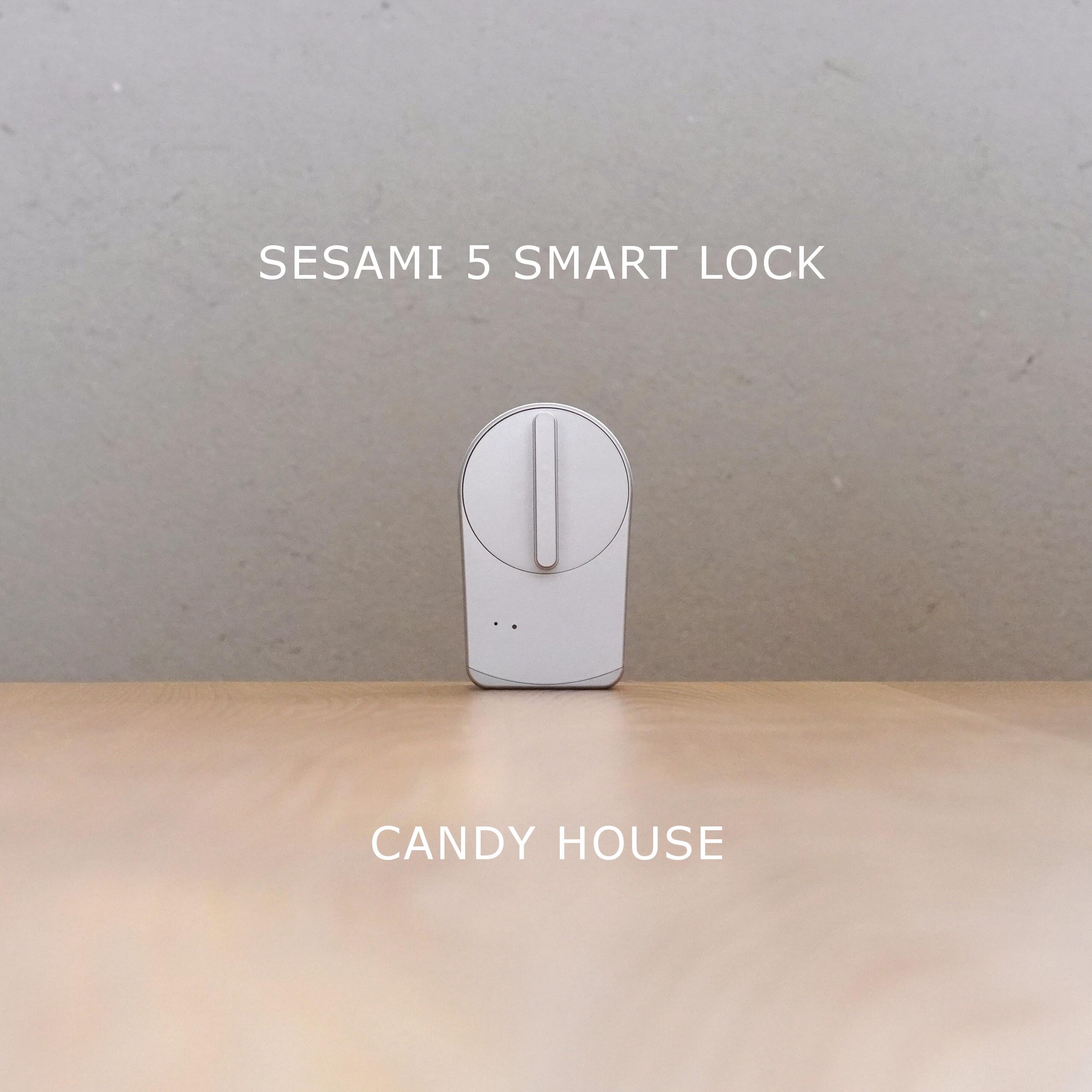 スマートロック】QOL爆上がりで鍵ストレスなし！築12年の玄関ドアを