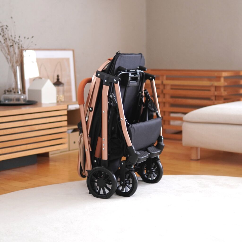 初『ペットカート』使ってみたらすごく便利！バスケット分離型で簡単に