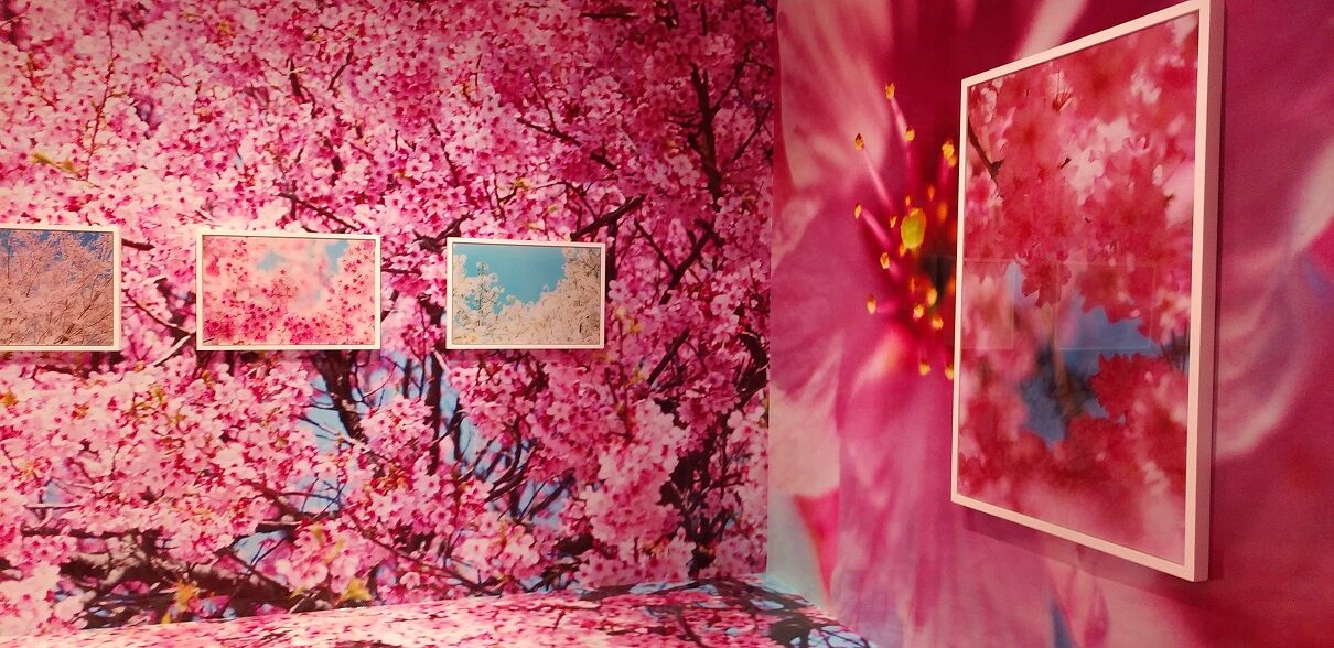 蜷川実花展 虚構と現実の間に を見に行った話 Phantasmagoria 蜷川実花展 虚構と現実の間に を見に行った話 Phantasmagoria