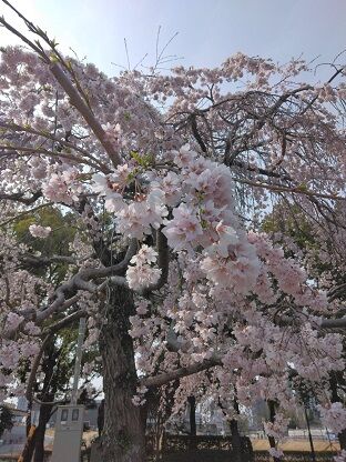 IMG_20260329_094846