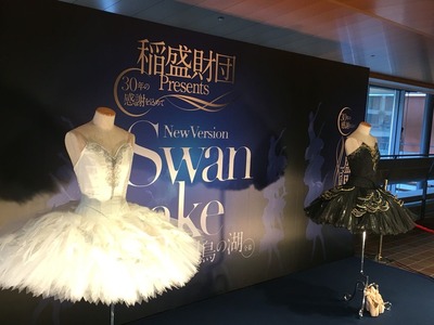 2016-08-18SwanLake2