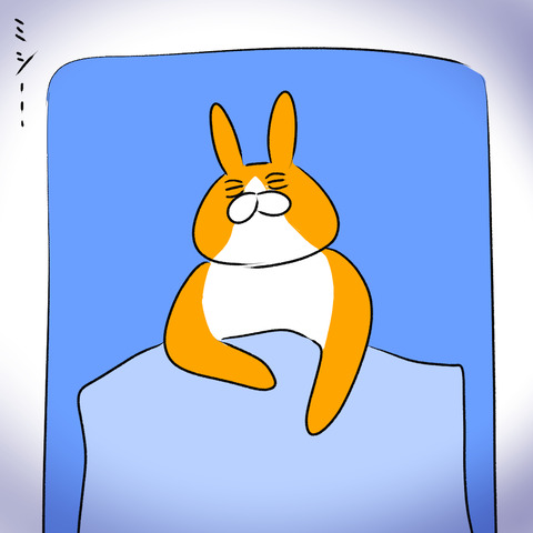 ねぞう１.1