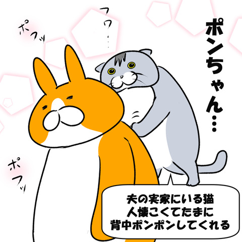 美容院のポン5