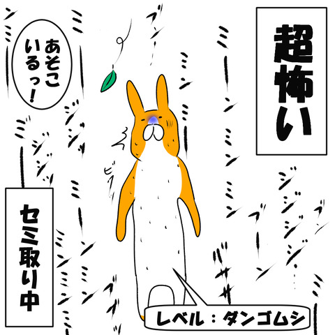蝉取り２