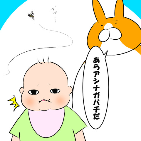 アシナガバチ１
