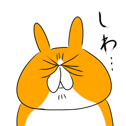 ミニトマト７