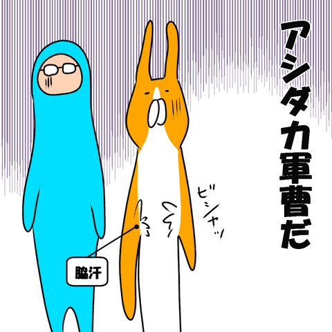 アシダカ４