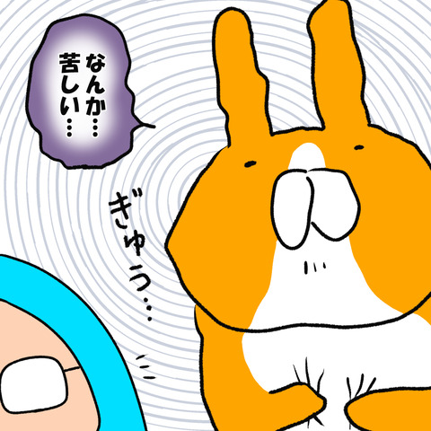 ゼルダ8
