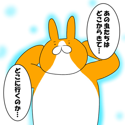 どこにいくのか3