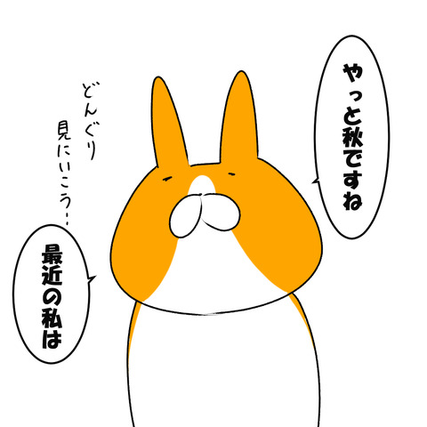 パズル１