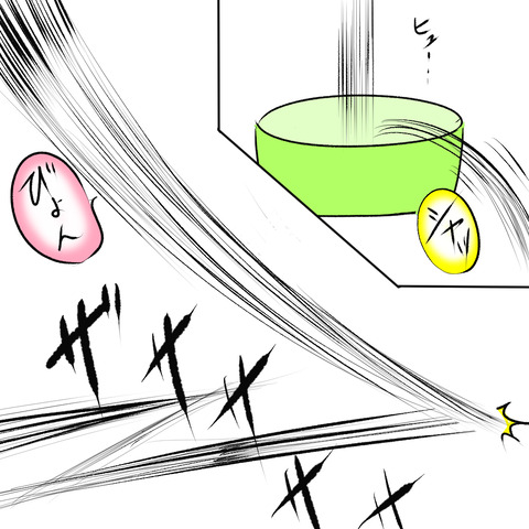 アシダカ１２