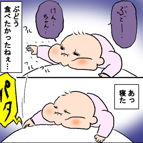 ぶどー３