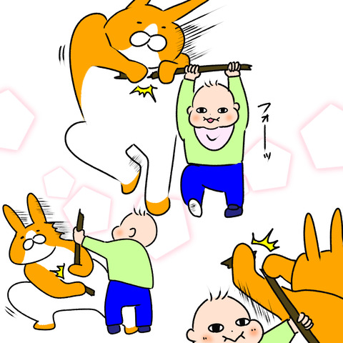 木の枝８