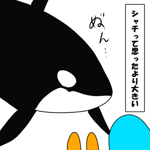しゃち１